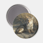 R19コヨーテ敷設 マグネット (正面/裏面)