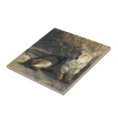 R19 コヨーテの寝姿 タイル (側面)