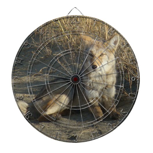 R19 コヨーテの横たわり ダーツボード (正面)