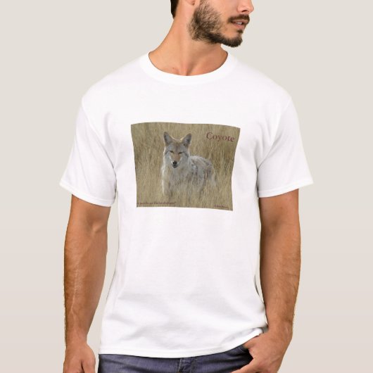 R2コヨーテ in 背の高い草 tシャツ (正面)