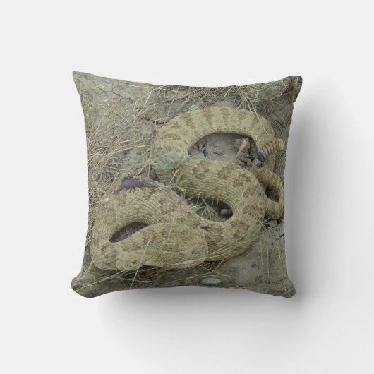 R20プレーリーラトルズナケ クッション (正面)