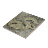 R20 プレーリー ラトルスネーク タイル (側面)