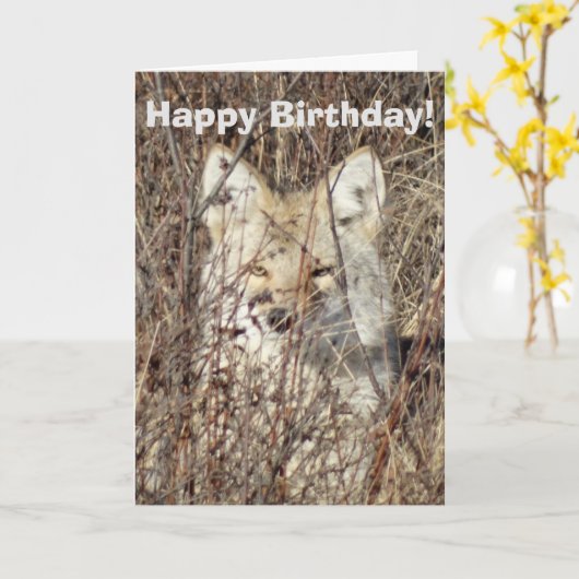 R21 Coyote「Watching You」 カード (黄色い花)