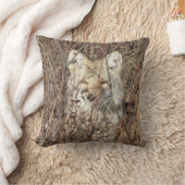 R21 Coyote "Watching You" クッション (ブランケット)