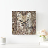 R21 Coyote "Watching You" スクエア壁時計 (ホーム)