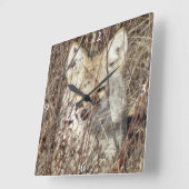 R21 Coyote "Watching You" スクエア壁時計 (傾斜)