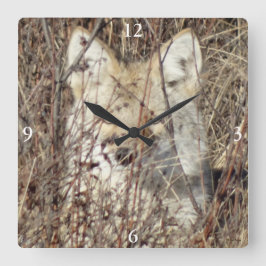 R21 Coyote "Watching You" スクエア壁時計