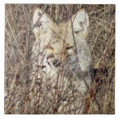 R21 Coyote "Watching You" タイル (正面)