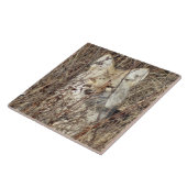 R21 Coyote "Watching You" タイル (側面)