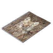 R21 Coyote "Watching You" ノートブック (左側)