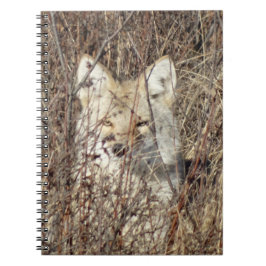 R21 Coyote "Watching You" ノートブック
