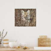 R21 Coyote "Watching You" ポスター (キッチン)