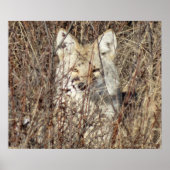 R21 Coyote "Watching You" ポスター (正面)