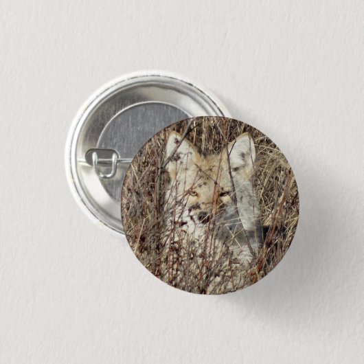 R21 Coyote Watching You 缶バッジ (正面&裏面)