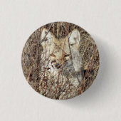 R21 Coyote Watching You 缶バッジ (正面)