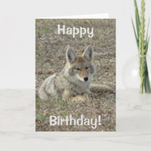 R22コヨーテの置くこと