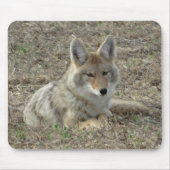 R22コヨーテの置くこと マウスパッド (正面)