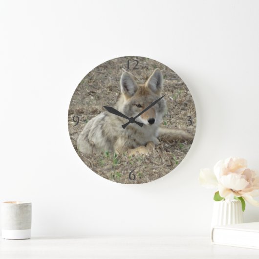 R22コヨーテレイイング ラージ壁時計 (ホーム)