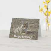 R22コヨーテ敷設 カード (黄色い花)