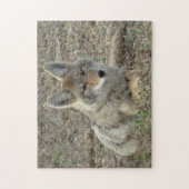 R22コヨーテ敷設 ジグソーパズル (縦)