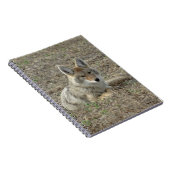 R22コヨーテ敷設 ノートブック (右側)