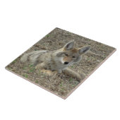 R22 コヨーテの休息 タイル (側面)