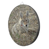 R22 コヨーテの休息 ダーツボード (正面右)