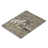 R22 コヨーテの休息 ノートブック (左側)