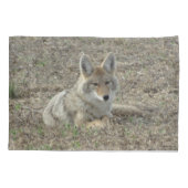 R22 コヨーテの休息 枕カバー (裏面)