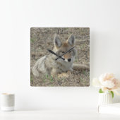 R22 Coyote Laying スクエア壁時計 (ホーム)