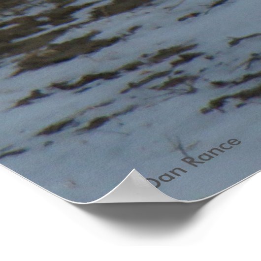 R23スノーシューヘア ポスター (角)