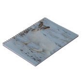 R23 スノーシューウサギ ノートブック (左側)