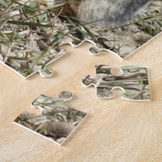 R24コットンテールウサギ ジグソーパズル (側面)