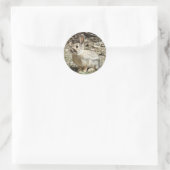 R24コットンテールウサギ ラウンドシール (バッグ)