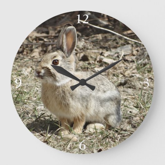 R24コットンテールウサギ ラージ壁時計 (正面)
