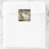 R24 コットンテールウサギ スクエアシール (バッグ)