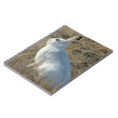 R25スノーシューヘア ノートブック (左側)