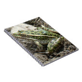 R3ヒョウカエル ノートブック (右側)