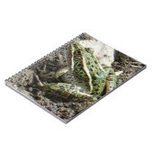 R3ヒョウカエル ノートブック (左側)