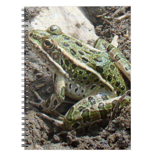 R3ヒョウカエル ノートブック (正面)