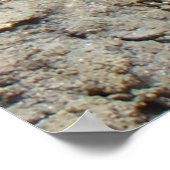 R3ヒョウカエル ポスター (角)