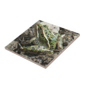 R3 ヒマワリトカゲエビ タイル (側面)