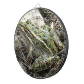 R3 ヒョウガエル ダーツボード (正面右)