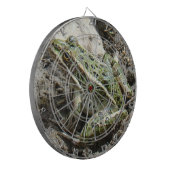 R3 ヒョウガエル ダーツボード (正面左)