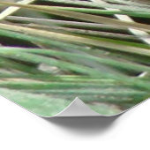 R4ブルスネークinグラス ポスター (角)