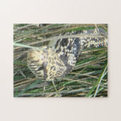 R4 Bullのヘビ ジグソーパズル (横)