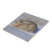 R5 コットンテイルウサギの雪 タイル (側面)