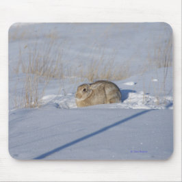 R5 ワタウサギの雪 マウスパッド