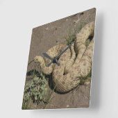 R6プレーリーラトルズナケ スクエア壁時計 (傾斜)