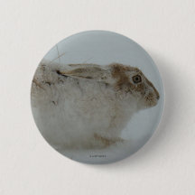 R7スノーシューヘア走準備